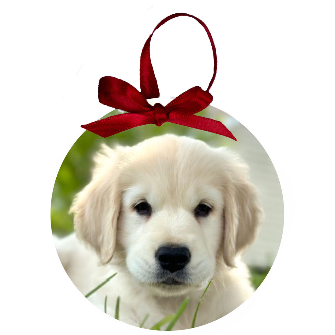 Custom Photo Ornament - MyBambino.com