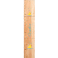 Natural Barnyard Growth Chart - MyBambino.com