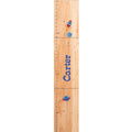 Natural Rocket Growth Chart - MyBambino.com