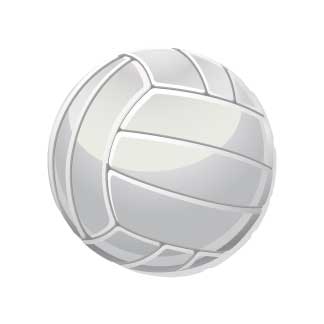 Volleyball Natural Wood Two Step Stool