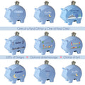 Personalized Blue Piggy Bank 2.0 - MyBambino.com