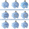 Personalized Blue Piggy Bank - Mountain Bear - MyBambino.com
