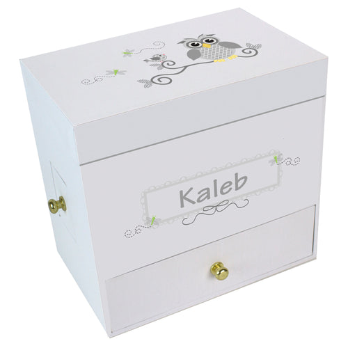 Gray Owl Deluxe Musical Ballerina Jewelry Box