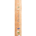 Personalized Natural Airplane Growth Chart 