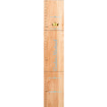 Personalized Natural Growth Chart With Turtle Design