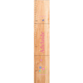 Personalized Natural Growth Chart With Calico Owl Design