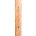 Personalized Natural Growth Chart With Ballerina African American Design