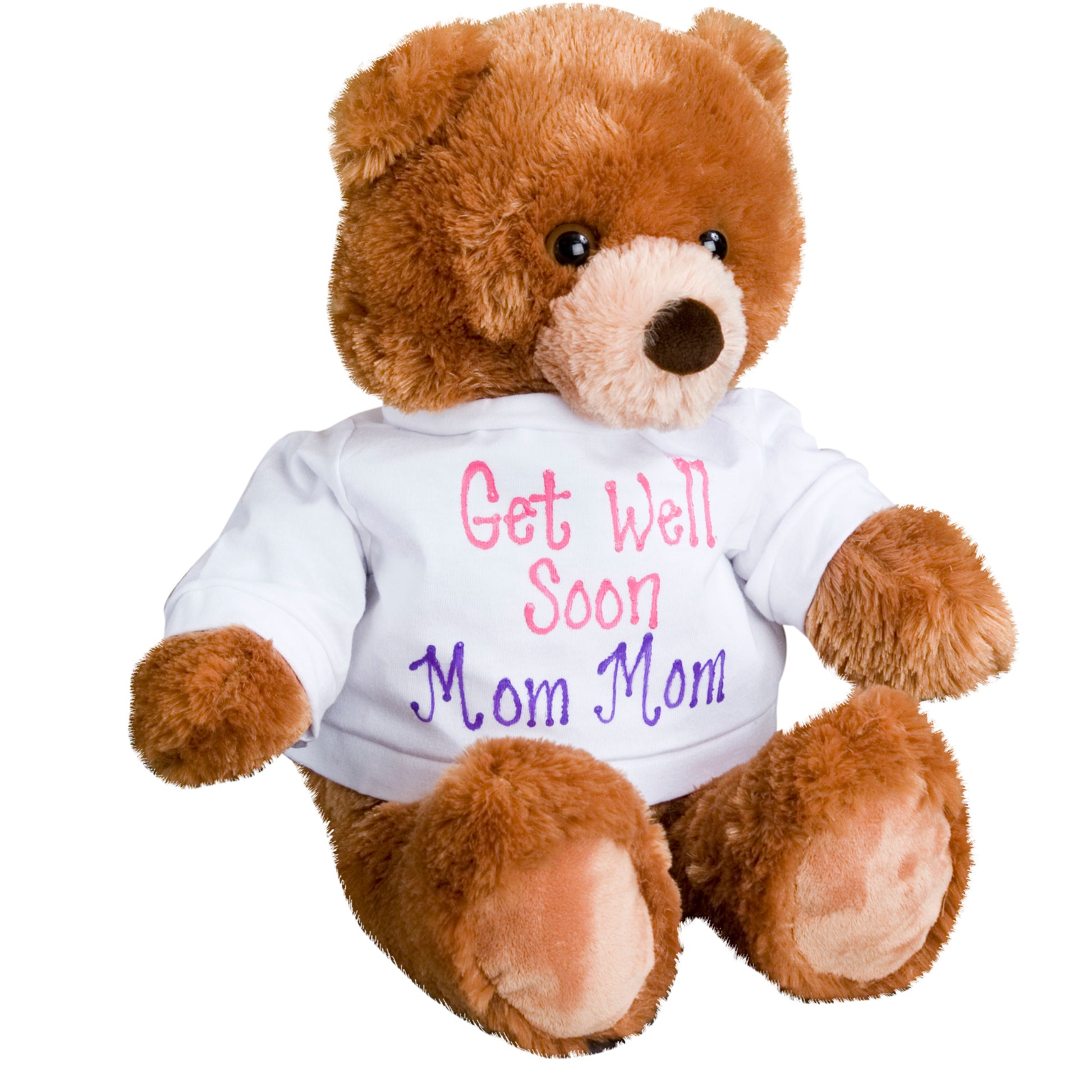 Plush Teddy Bear in Personalized T-shirt